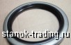    10012513 HUB OIL SEAL  ELI PQD15